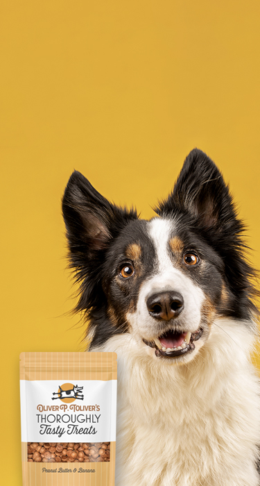 Who's a good dog?